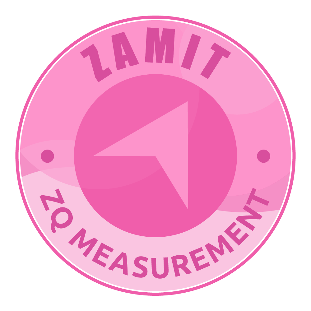 ZQ Measurement & Analysis